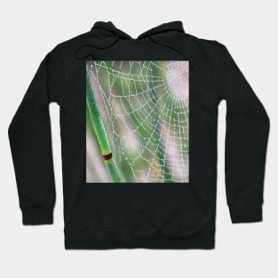 Spiderweb Hoodie